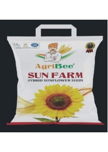 Sun Farm Hy Sunflower